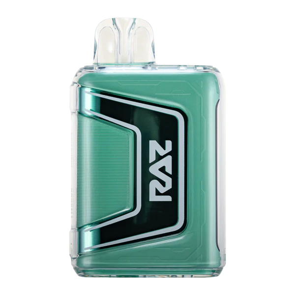 Miami Mint Disposable Vape - Raz TN9000